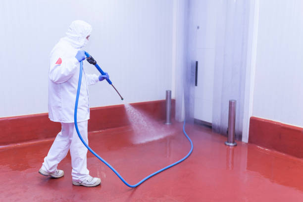 Best Concrete Surface Cleaning in Eagle, WI